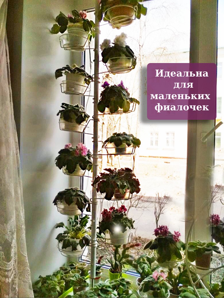 Распорка для маленьких растений Фиалочка. Фото N5